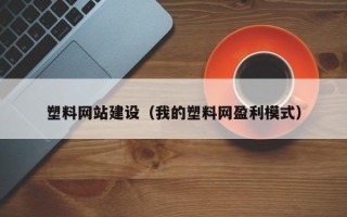 普洱塑料网站建设（我的塑料网盈利模式）