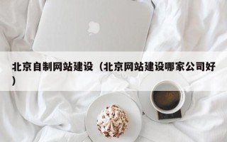 普洱北京自制网站建设（北京网站建设哪家公司好）